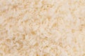 Background of Raw Organic Unsweetened Coconut