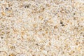 Background - raw psyllium husk close up Royalty Free Stock Photo
