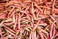 Background of raw red kidney bean pods. Royalty Free Stock Photo