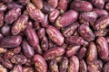 Background - raw red spotted pinto beans