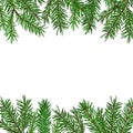 Background with realistic green fir tree branch. Christmas, New Year symbol.