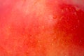 Background of a red apple. macro Royalty Free Stock Photo