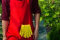 red apron and yellow gloves gardener