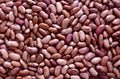 Background of red beans