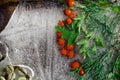 Background of red berry of hawthorn and twif of juniper frozen in ice