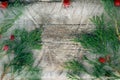 Background of red berry of hawthorn and twif of juniper frozen in ice