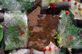 Background of red berry of hawthorn and twif of juniper frozen in ice