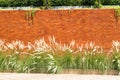 Background of red brick wall with Cogon grass and Ant Plant infront in sunlight