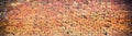 Background of red brick wall pattern texture. High resolution pa Royalty Free Stock Photo