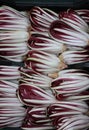 Background of red chicory called Radicchio Rosso di Treviso in I Royalty Free Stock Photo