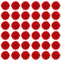 Background of red flowers