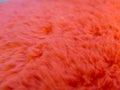 The background is red and fluffy from artificial fur Royalty Free Stock Photo