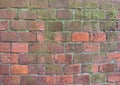Background of red , green brick wall pattern texture.