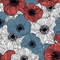 Background of red poppy flowers following the colors of the united states of america flag Royalty Free Stock Photo