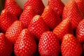 Background of red ripe strawberries selective focus. Royalty Free Stock Photo