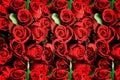 Background of red roses symbolic of love