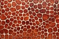 Background of red stone wall texture,  Close-up,  Macro Royalty Free Stock Photo