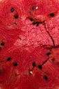 Red texture of fresh cut sweet watermelon Royalty Free Stock Photo