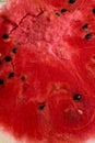 Red texture of fresh cut sweet watermelon Royalty Free Stock Photo