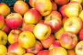 Background of red and yellow apples Royalty Free Stock Photo
