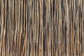 Background of reed. Traditional fence made of bamboo reed. Asian style. The texture of the dry reeds. Royalty Free Stock Photo