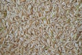 Background of rice