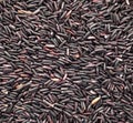 Background of rice berry