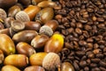 Background of ripe acorns and roasted coffee beans Royalty Free Stock Photo