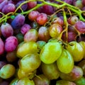 Background of ripe colorful grapes in the market. Ripe fruits on the counter. Macro photo Royalty Free Stock Photo