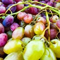 Background of ripe colorful grapes in the market. Ripe fruits on the counter. Macro photo Royalty Free Stock Photo