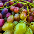 Background of ripe colorful grapes in the market. Ripe fruits on the counter. Macro photo. Royalty Free Stock Photo