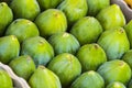 Background ripe figs without GMOs