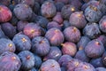 Background of ripe figs on the market