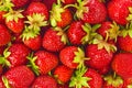 Background of ripe organic farm strawberries