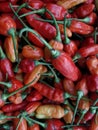 . Red hot chili peppers pattern texture background. Royalty Free Stock Photo