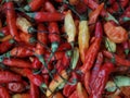 Ripe red hot chili papper at the market Royalty Free Stock Photo