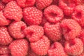 Background of ripe red raspberries, close up