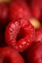 Background of ripe red raspberries fruits natural healthy vitamins power big size high quality botanical print rubus