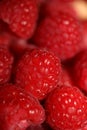 Background of ripe red raspberries fruits natural healthy vitamins power big size high quality botanical print rubus