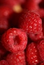 Background of ripe red raspberries fruits natural healthy vitamins power big size high quality botanical print rubus