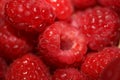 Background of ripe red raspberries fruits natural healthy vitamins power big size high quality botanical print rubus