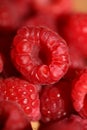 Background of ripe red raspberries fruits natural healthy vitamins power big size high quality botanical print rubus