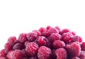 Background ripe red raspberries on a white background. Harvest. Health organic food. Color texture, photo Royalty Free Stock Photo