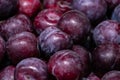 Background from ripe sweet plums Royalty Free Stock Photo