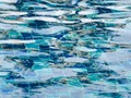 Background of rippled water in swimming pool. Royalty Free Stock Photo