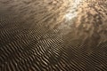 Background of ripples in sand at sunset Royalty Free Stock Photo