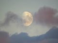Background with rising moon above pink sunset clouds Royalty Free Stock Photo