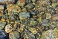 Background of river pebbles Royalty Free Stock Photo