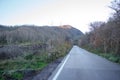 Background of the road at sunrise and the first rays, trees and grass on the roadside