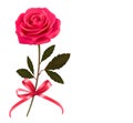 Background with rose and a bow.